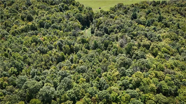 $119,900 | 0 Cornell Hollow Road, Apalachin, NY 13732