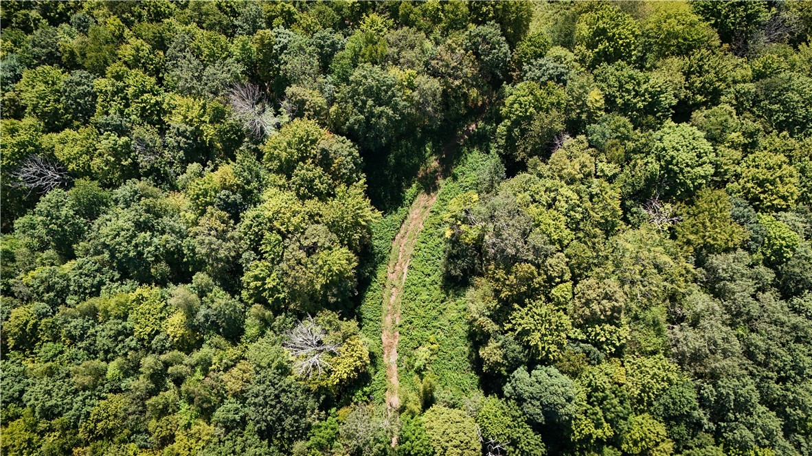 0 Cornell Hollow Road Apalachin, NY 13732 - Photo 22 of 30