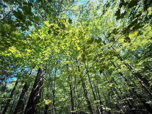 $119,900 | 0 Cornell Hollow Road, Apalachin, NY 13732