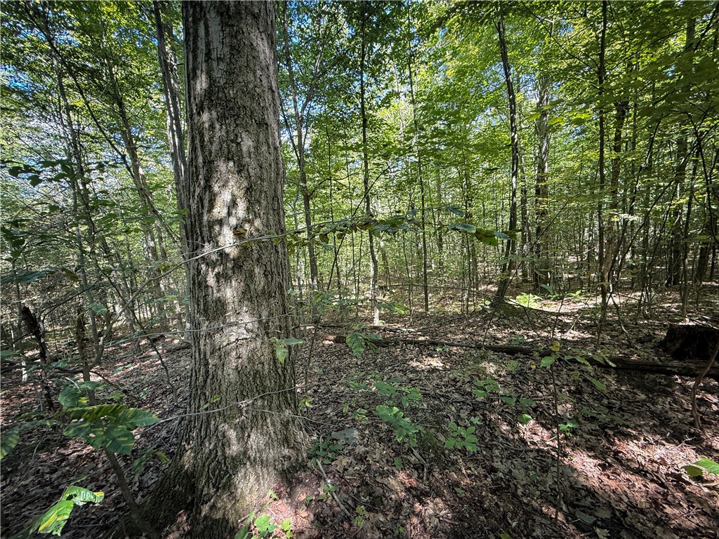 0 Cornell Hollow Road Apalachin, NY 13732 - Photo 24 of 30