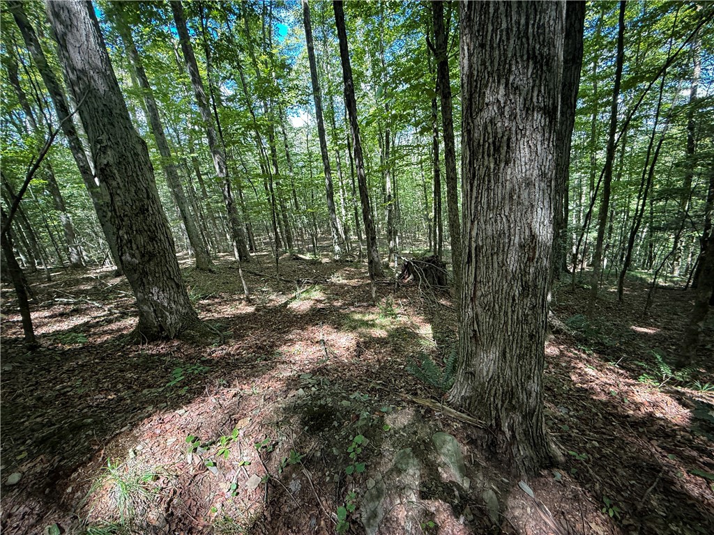 0 Cornell Hollow Road Apalachin, NY 13732 - Photo 25 of 30