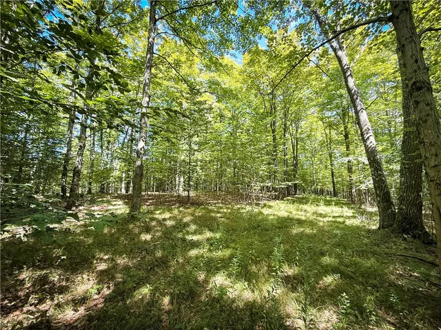 $119,900 | 0 Cornell Hollow Road, Apalachin, NY 13732