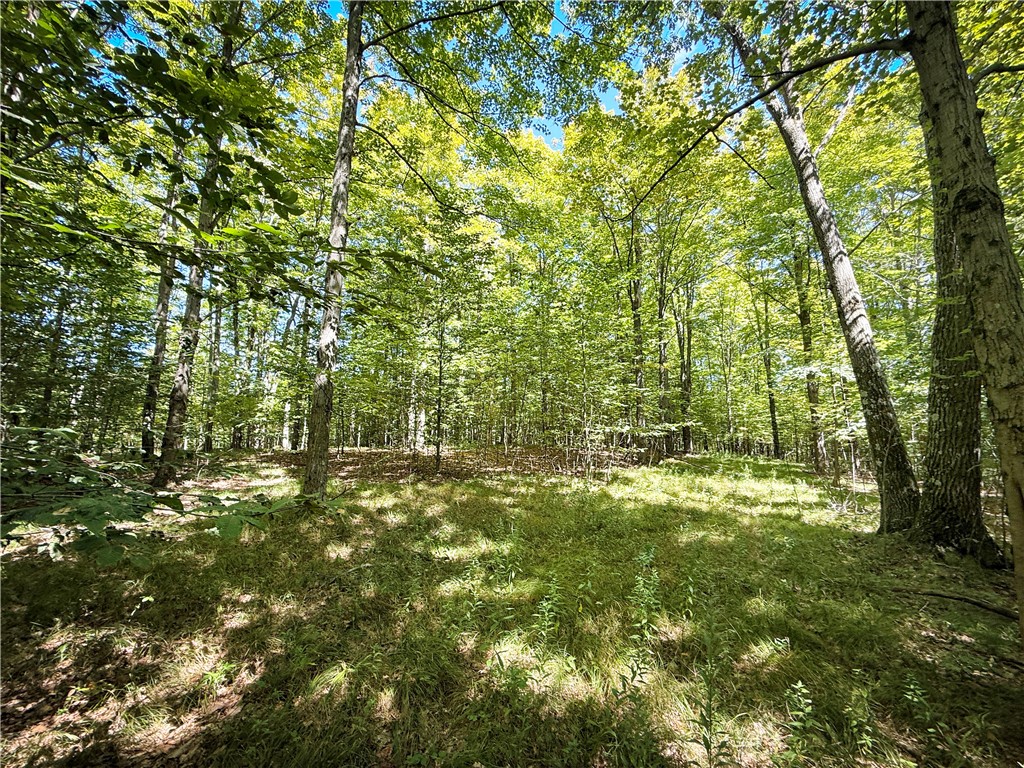 0 Cornell Hollow Road Apalachin, NY 13732 - Photo 26 of 30