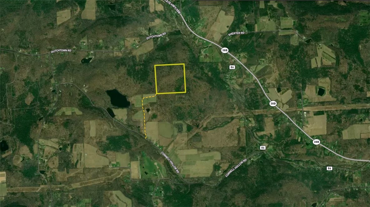 0 Cornell Hollow Road Apalachin, NY 13732 - Photo 29 of 30