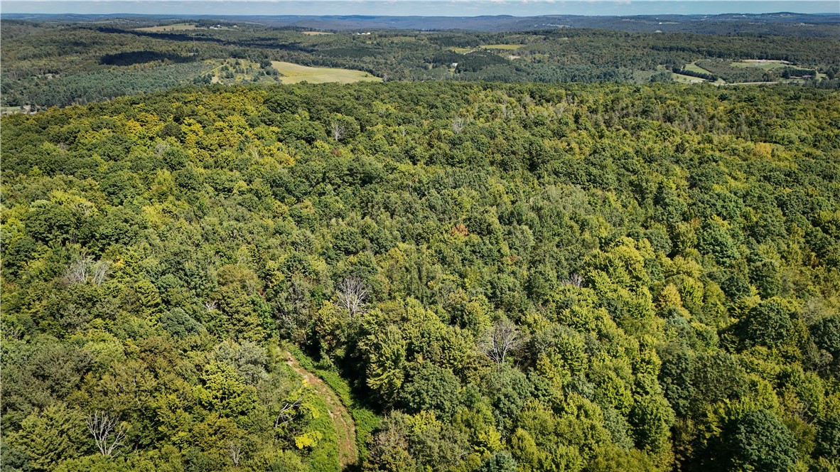0 Cornell Hollow Road Apalachin, NY 13732 - Photo 3 of 30