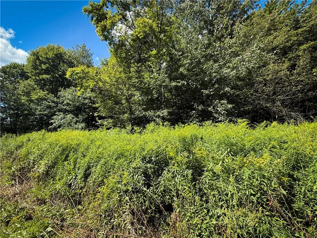 $119,900 | 0 Cornell Hollow Road, Apalachin, NY 13732