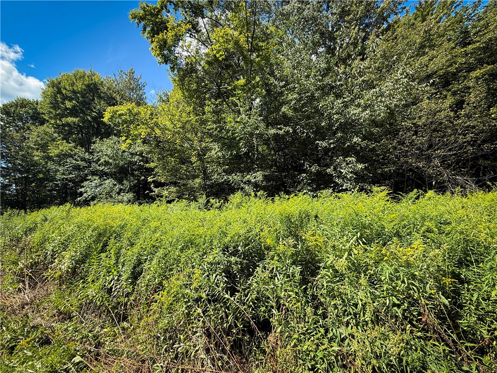 0 Cornell Hollow Road Apalachin, NY 13732 - Photo 4 of 30