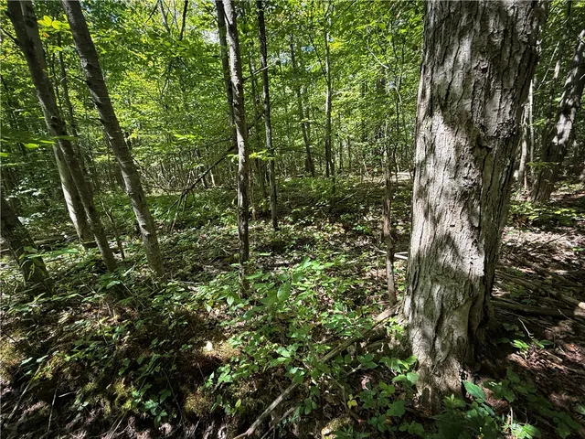 $119,900 | 0 Cornell Hollow Road, Apalachin, NY 13732