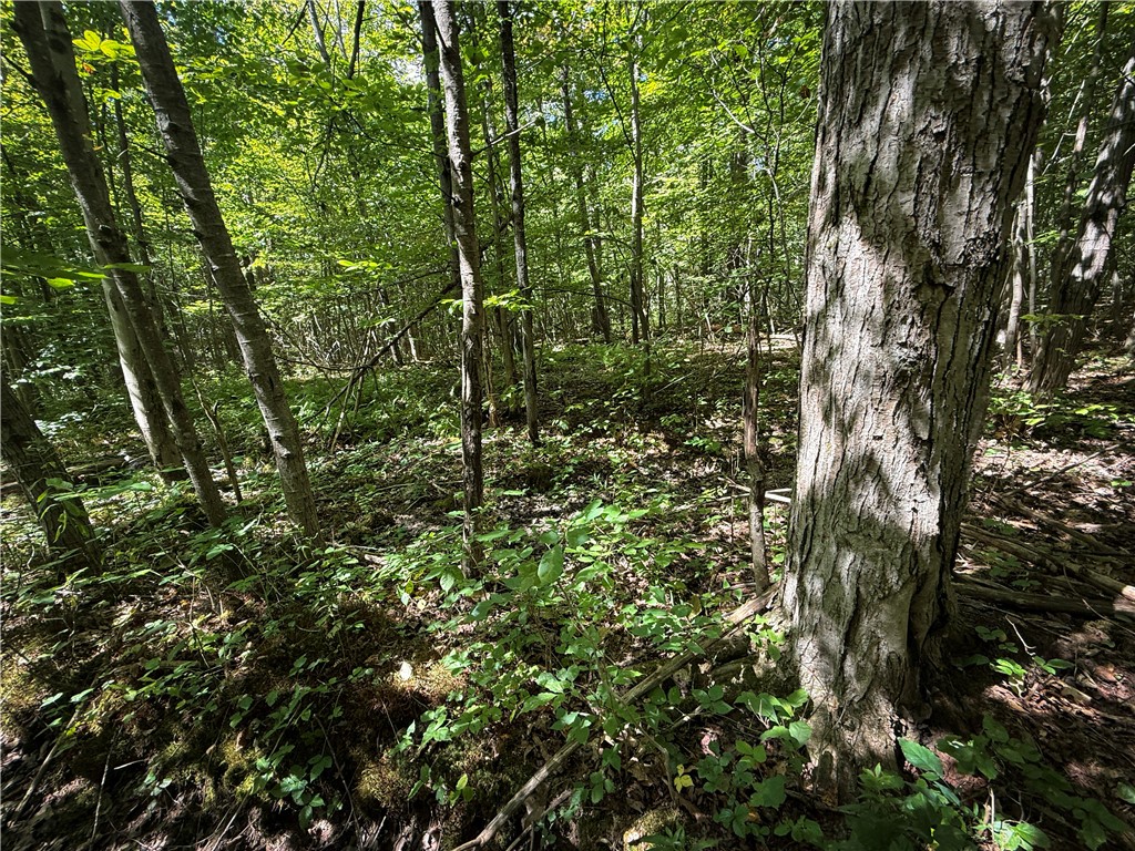 0 Cornell Hollow Road Apalachin, NY 13732 - Photo 5 of 30