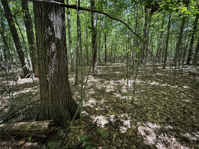 $119,900 | 0 Cornell Hollow Road, Apalachin, NY 13732