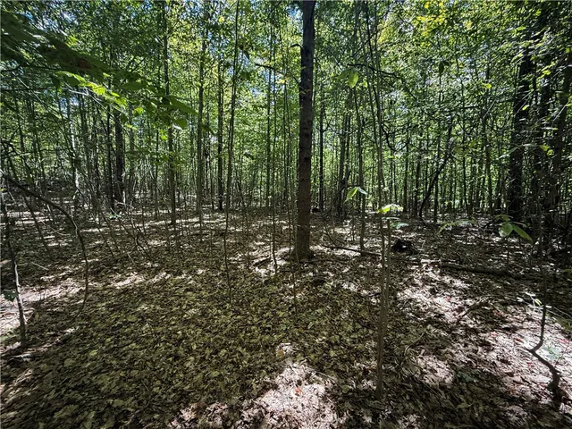 $119,900 | 0 Cornell Hollow Road, Apalachin, NY 13732