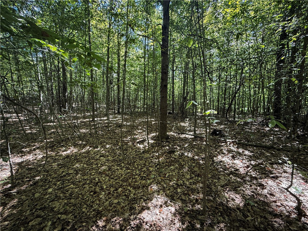 0 Cornell Hollow Road Apalachin, NY 13732 - Photo 7 of 30