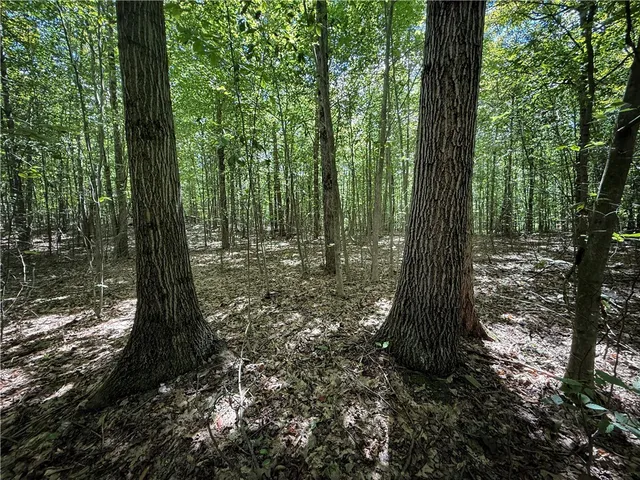 $119,900 | 0 Cornell Hollow Road, Apalachin, NY 13732