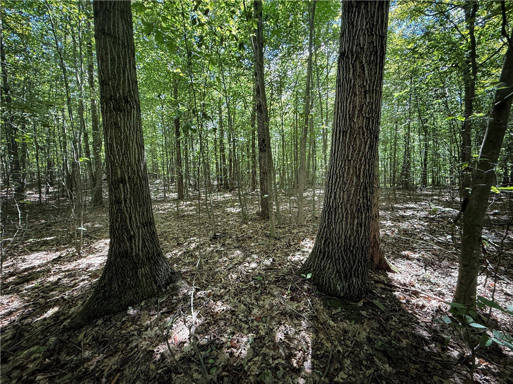 0 Cornell Hollow Road Apalachin, NY 13732 - Photo 8 of 30