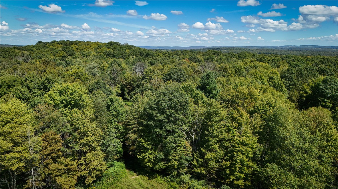 0 Cornell Hollow Road Apalachin, NY 13732 - Photo 9 of 30