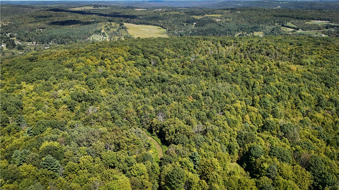 0 Cornell Hollow Road Apalachin, NY 13732 - Photo 10 of 30