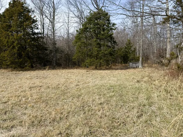 a view of a yard