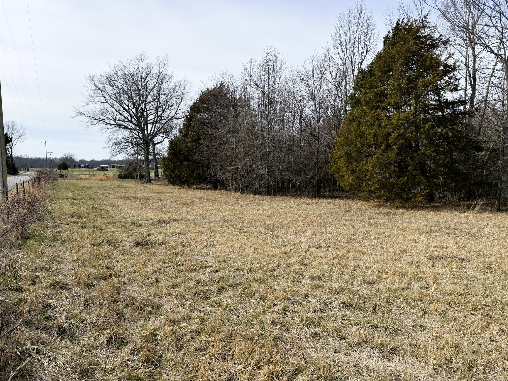 2357 Beacon Light Road Morrison, TN 37357 - Photo 3 of 3 a view of yard