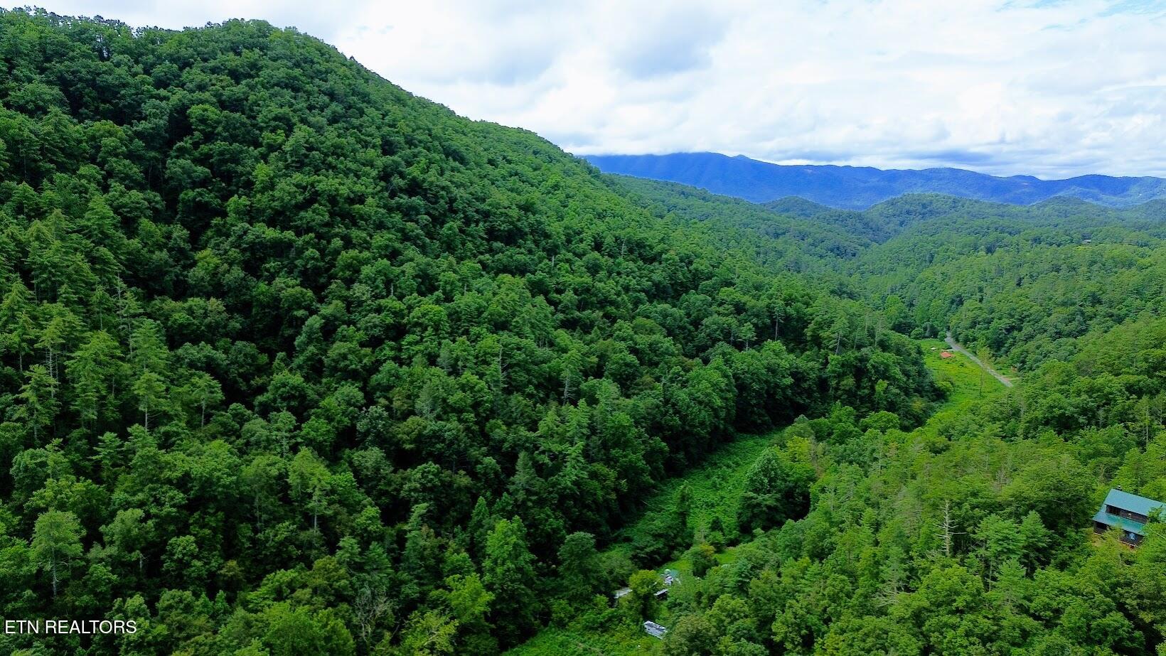 Carrs Creek Road Townsend, TN 37882 - Photo 1 of 7 Carrs Creek Rd Acreage