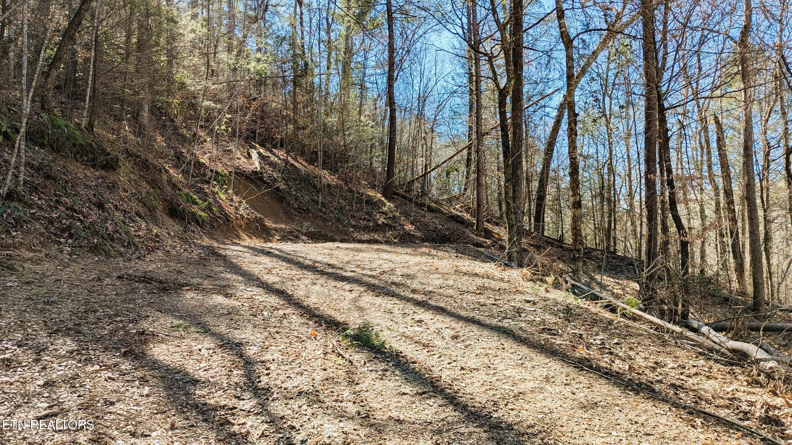 Carrs Creek Road Townsend, TN 37882 - Photo 2 of 7 2