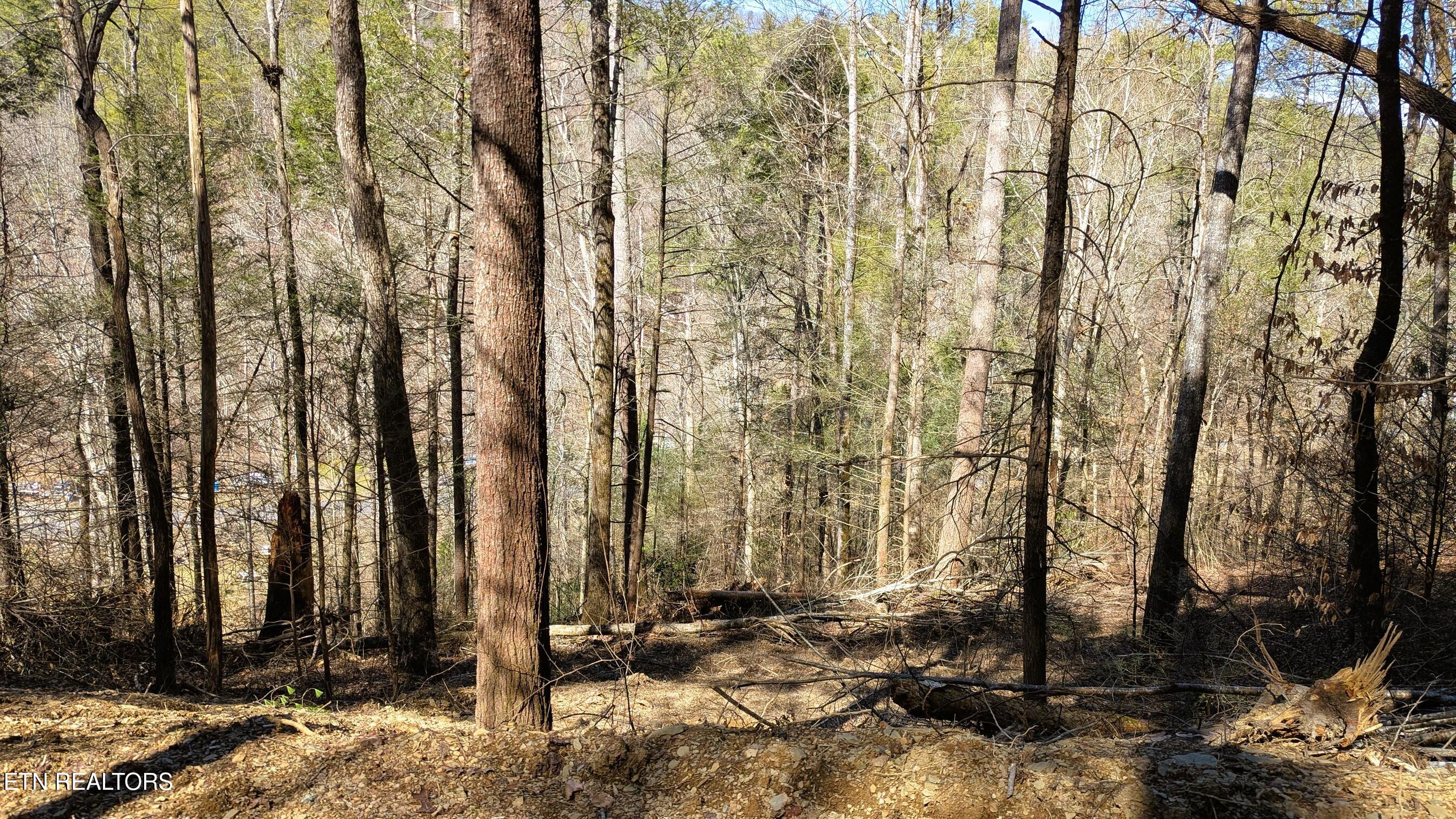 Carrs Creek Road Townsend, TN 37882 - Photo 3 of 7 3