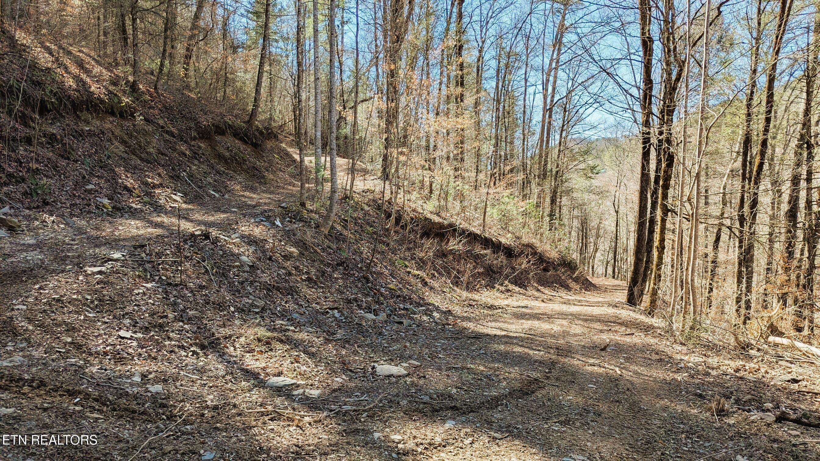 Carrs Creek Road Townsend, TN 37882 - Photo 4 of 7 7