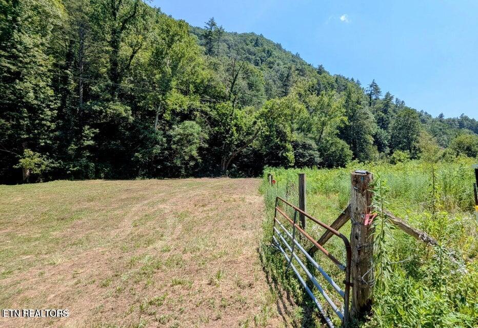 Carrs Creek Road Townsend, TN 37882 - Photo 5 of 7 Carrs Creek Entrance