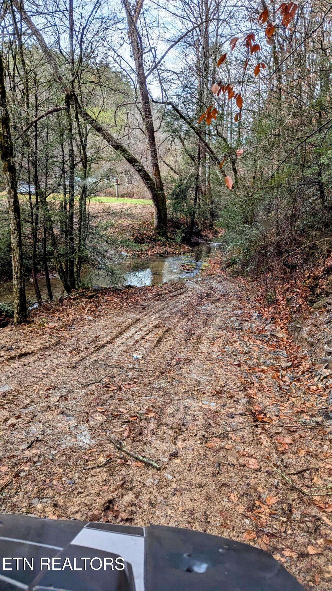 Carrs Creek Road Townsend, TN 37882 - Photo 6 of 7 Creek on Way Out