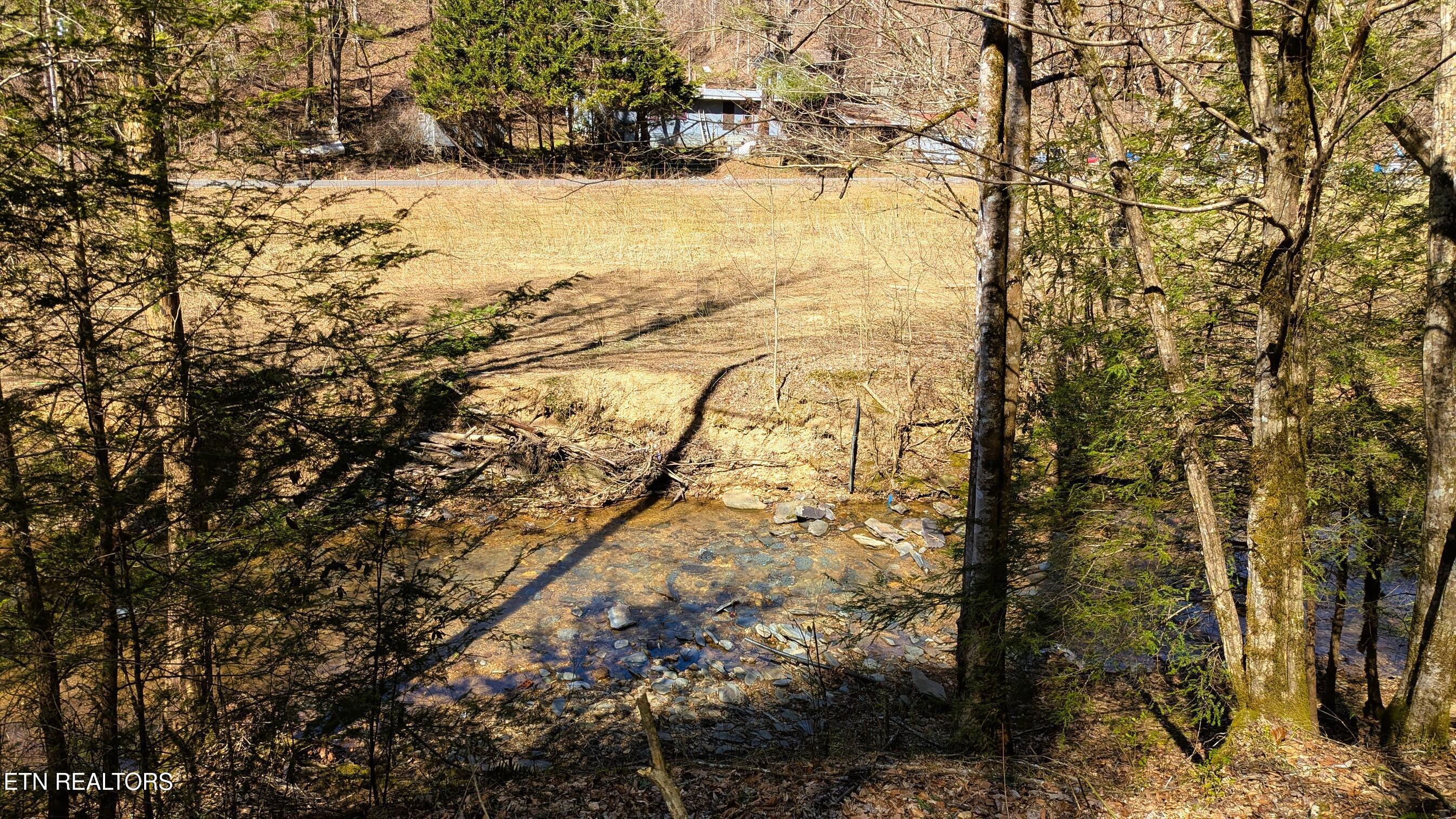 Carrs Creek Road Townsend, TN 37882 - Photo 7 of 7 Views