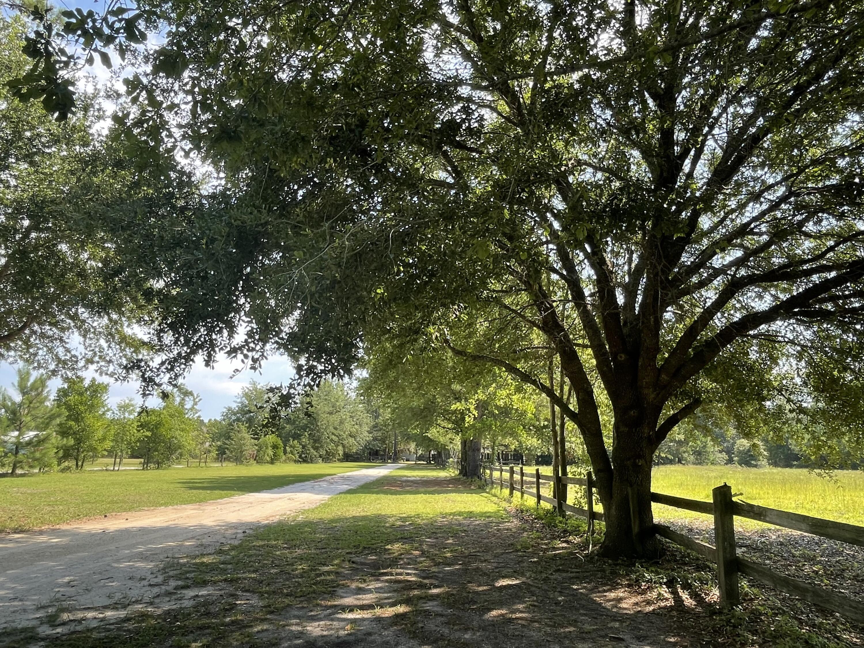 515 Cook's Hill Road Walterboro, SC 29488 - Photo 14 of 85 515 Cooks Hill Road