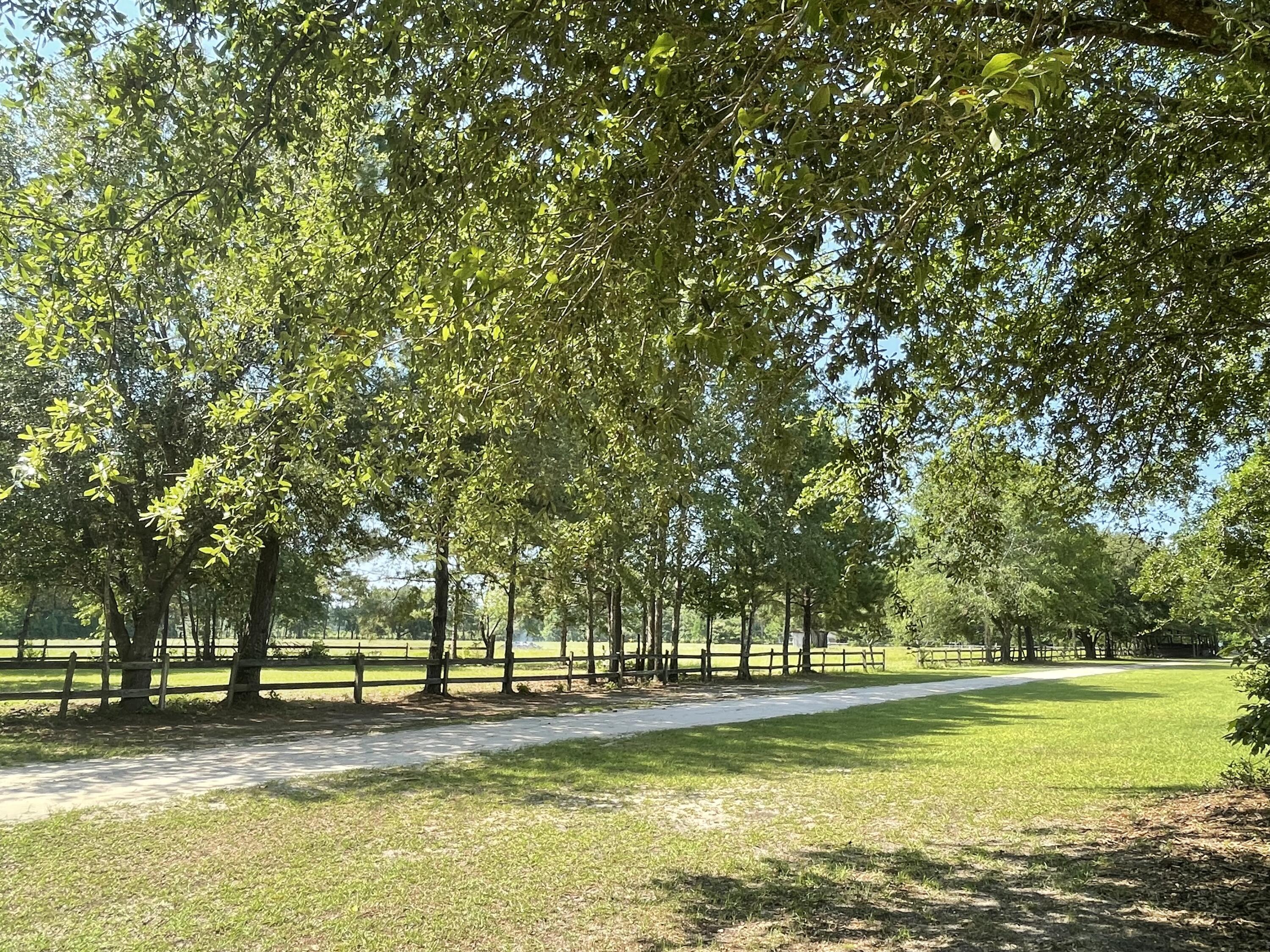 515 Cook's Hill Road Walterboro, SC 29488 - Photo 16 of 85 515 Cooks Hill Road