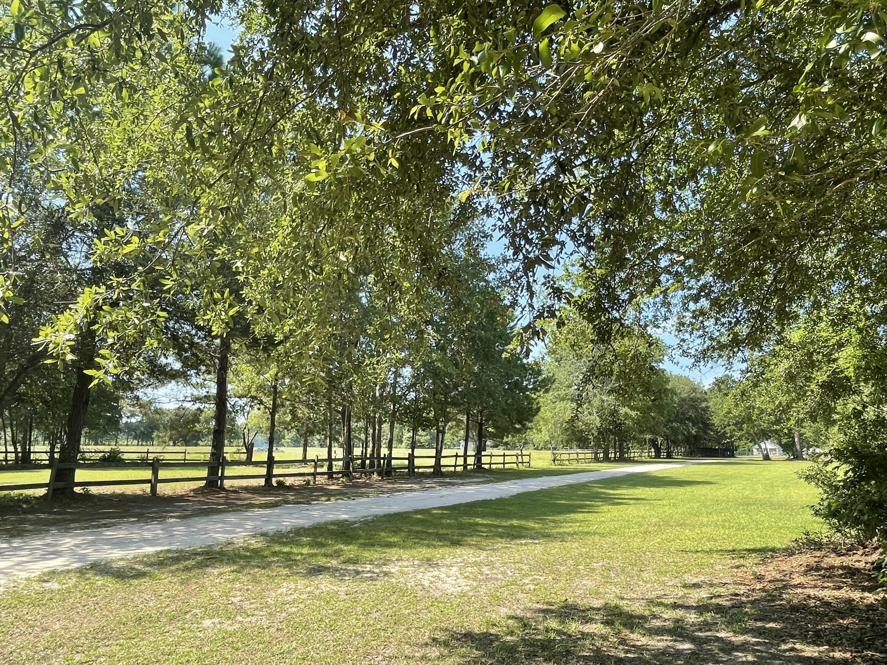 515 Cook's Hill Road Walterboro, SC 29488 - Photo 17 of 85 515 Cooks Hill Road