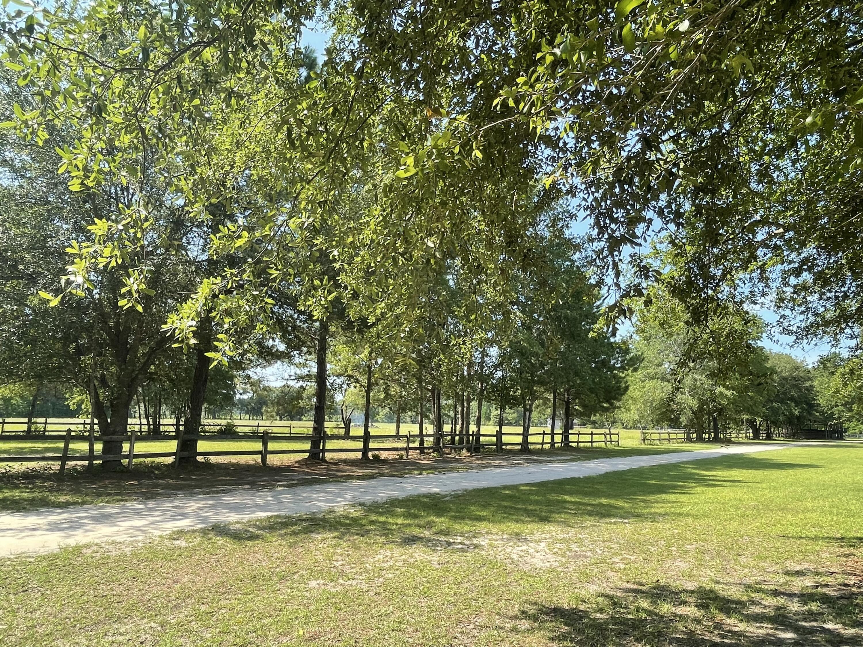 515 Cook's Hill Road Walterboro, SC 29488 - Photo 18 of 85 515 Cooks Hill Road