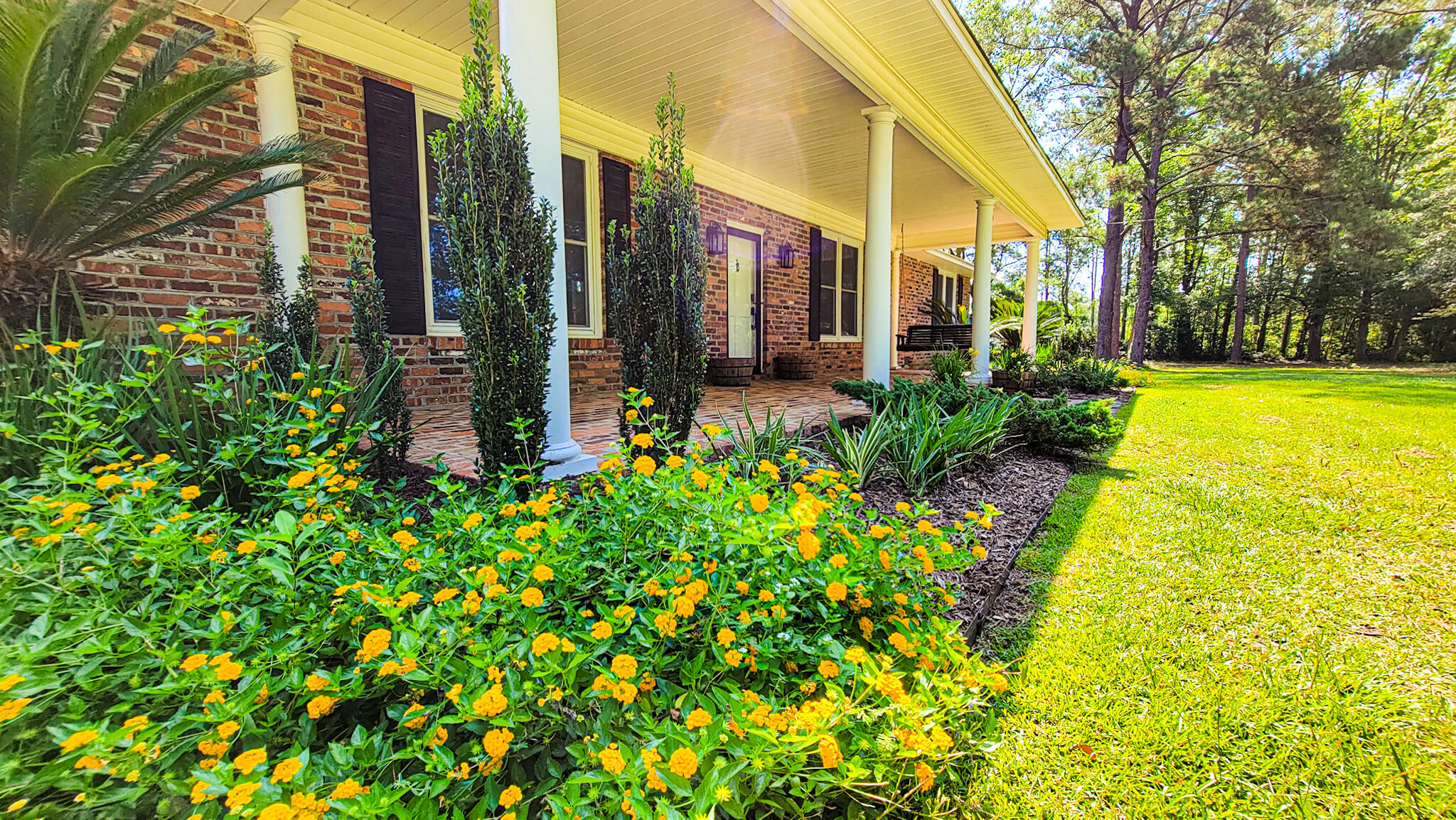 515 Cook's Hill Road Walterboro, SC 29488 - Photo 27 of 85 515 Cooks Hill Road