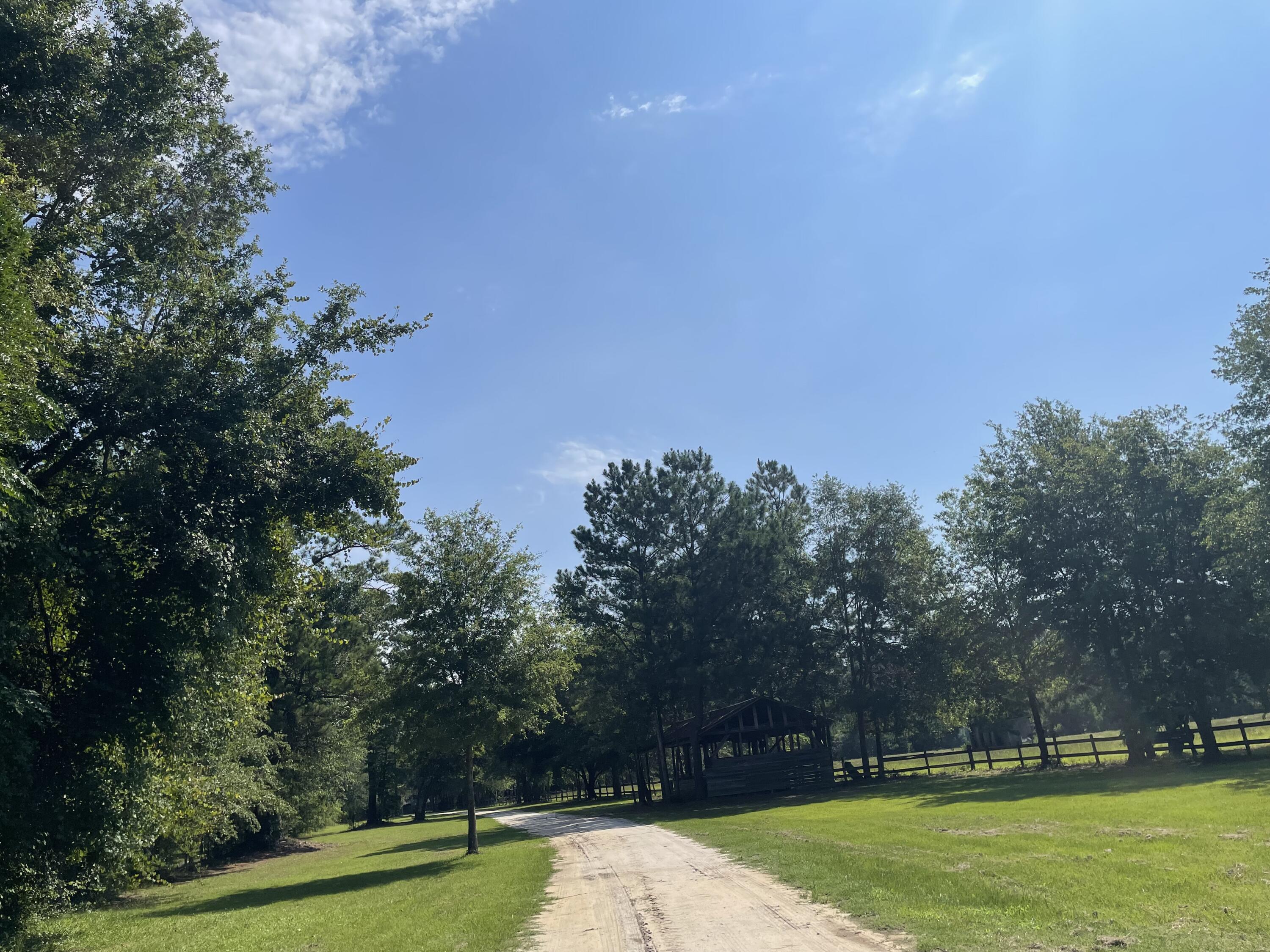 515 Cook's Hill Road Walterboro, SC 29488 - Photo 4 of 85 515 Cooks Hill Road