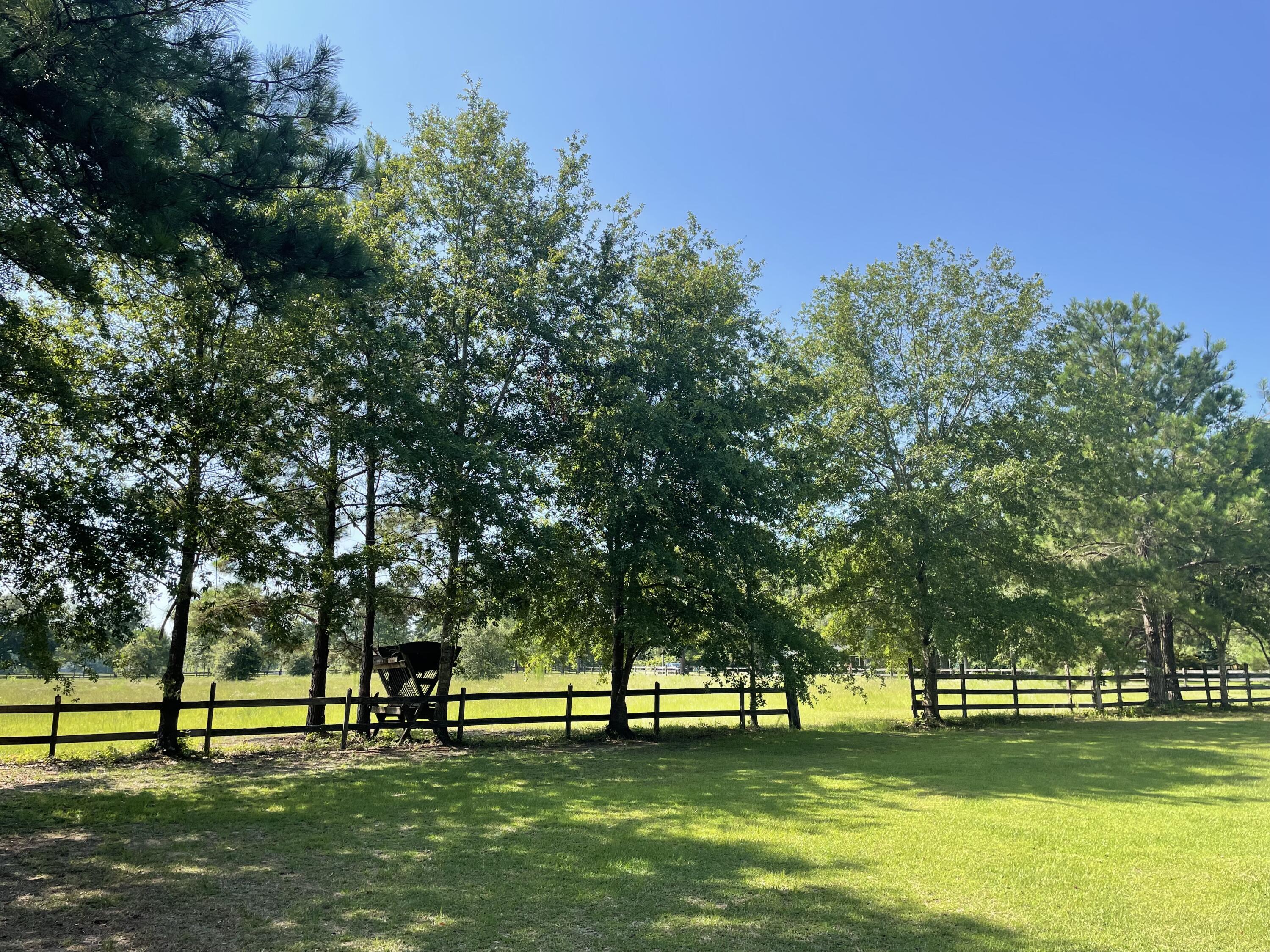515 Cook's Hill Road Walterboro, SC 29488 - Photo 5 of 85 515 Cooks Hill Road