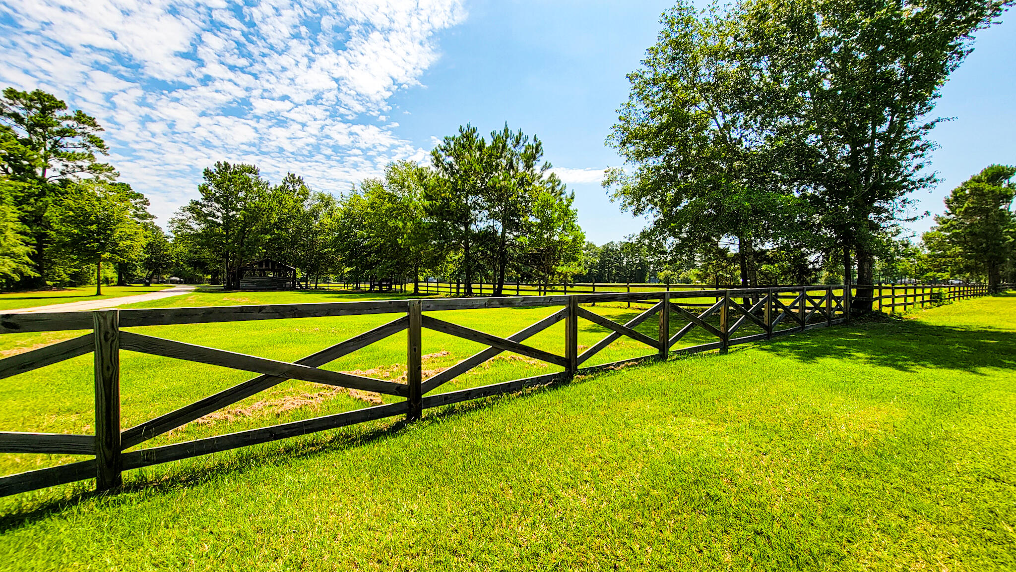515 Cook's Hill Road Walterboro, SC 29488 - Photo 6 of 85 515 Cooks Hill Road