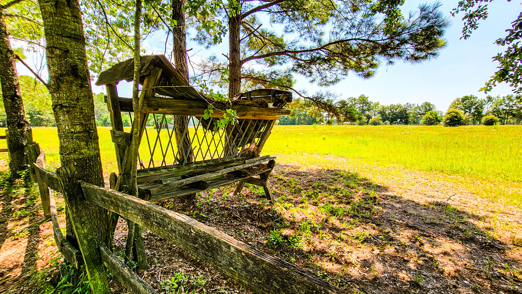 515 Cook's Hill Road Walterboro, SC 29488 - Photo 7 of 85 515 Cooks Hill Road