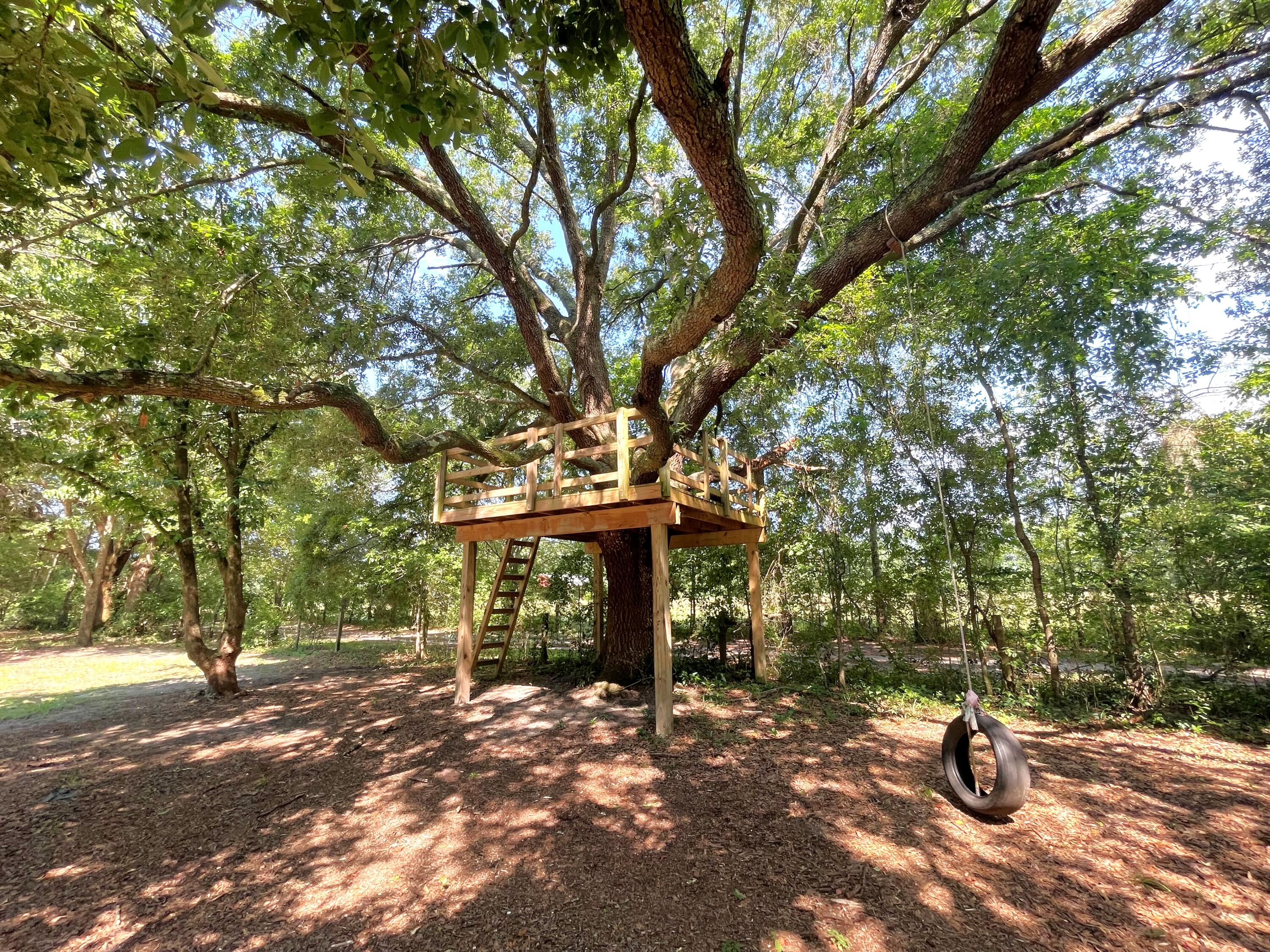 515 Cook's Hill Road Walterboro, SC 29488 - Photo 80 of 85 515 Cooks Hill Road