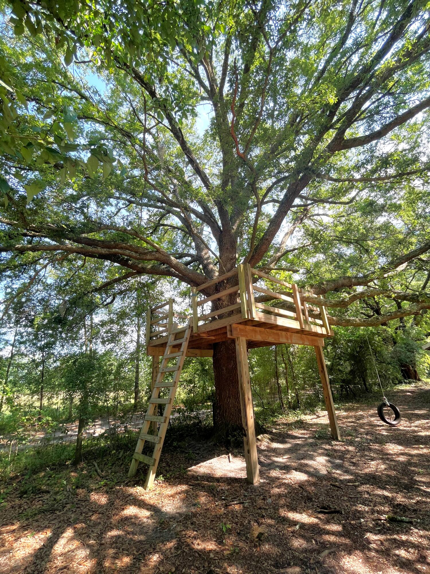 515 Cook's Hill Road Walterboro, SC 29488 - Photo 81 of 85 515 Cooks Hill Road