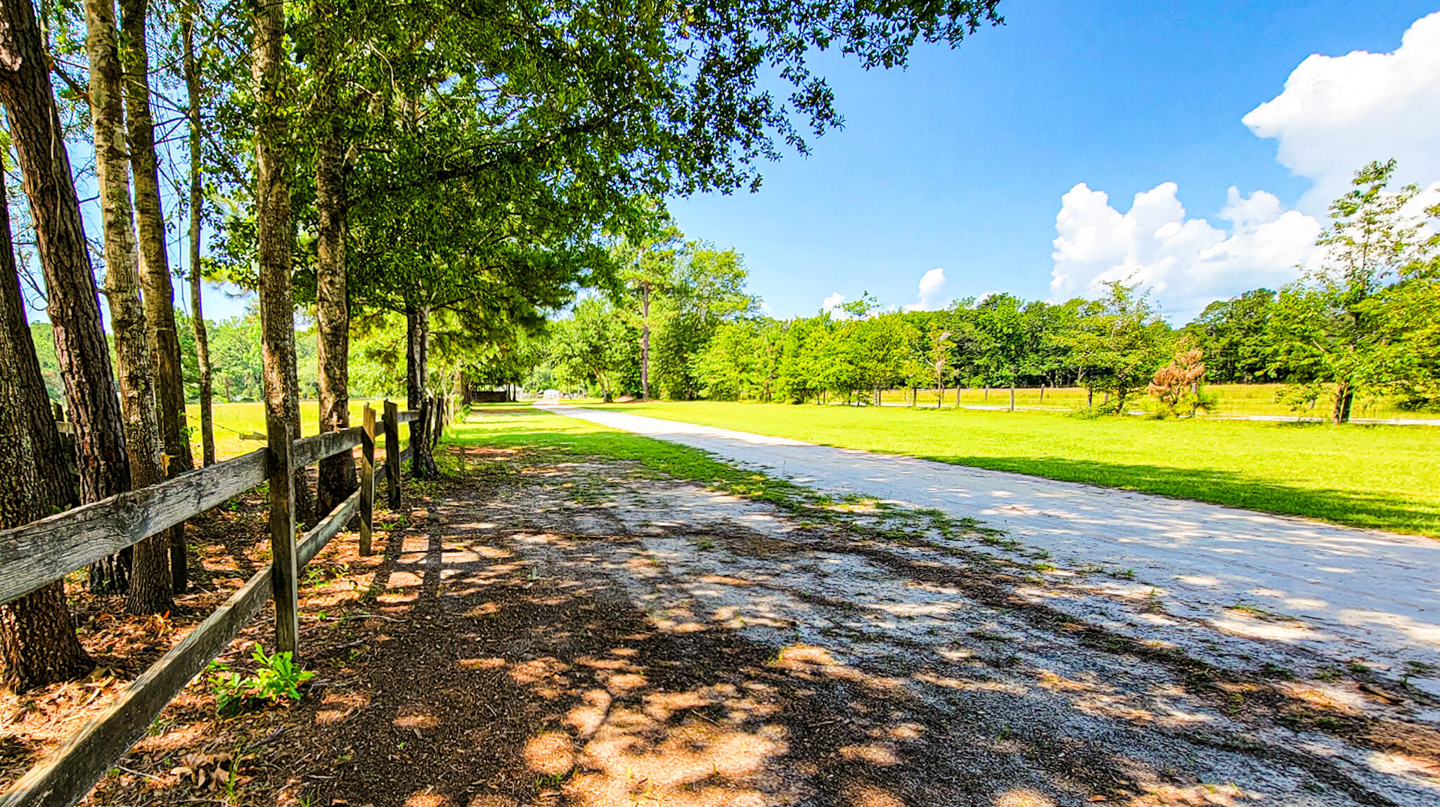 515 Cook's Hill Road Walterboro, SC 29488 - Photo 10 of 85 515 Cooks Hill Road