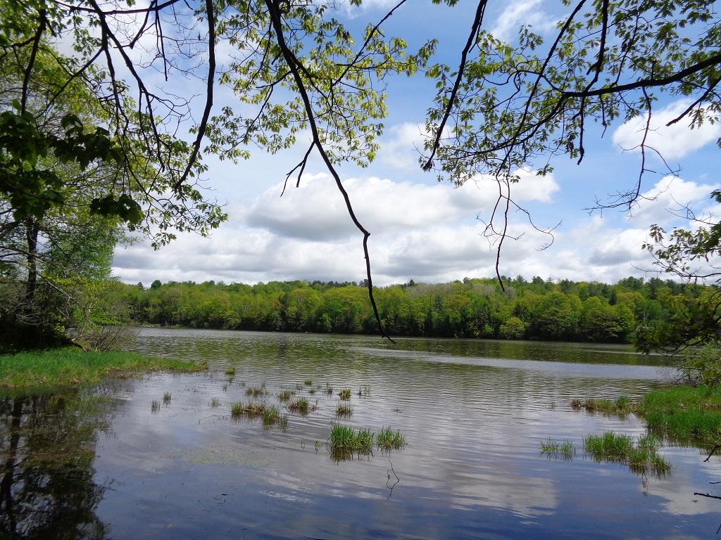 M8-l50 River Road Norridgewock, ME 04957 - Photo 8 of 23 9
