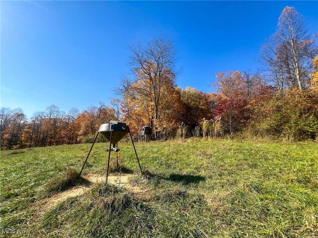0 Roberts Road Amesville, OH 45711 - Photo 29 of 39 View of yard