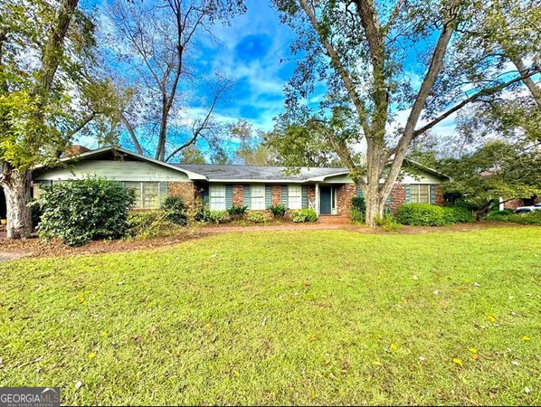 a view of a yard with plants and trees