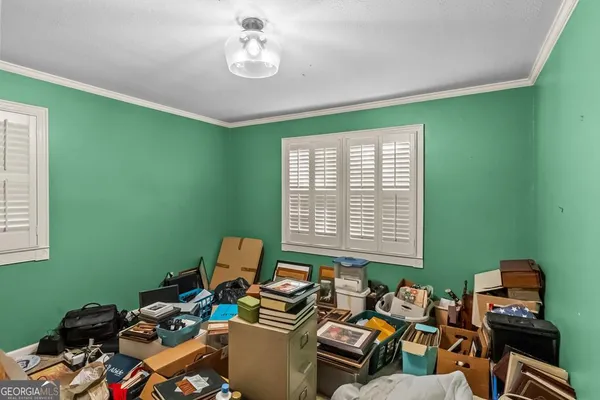 a view of a yard with plants