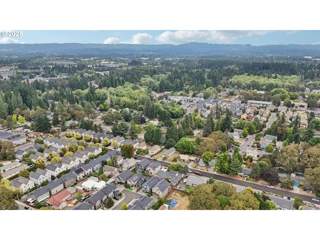 a view of a city with mountain