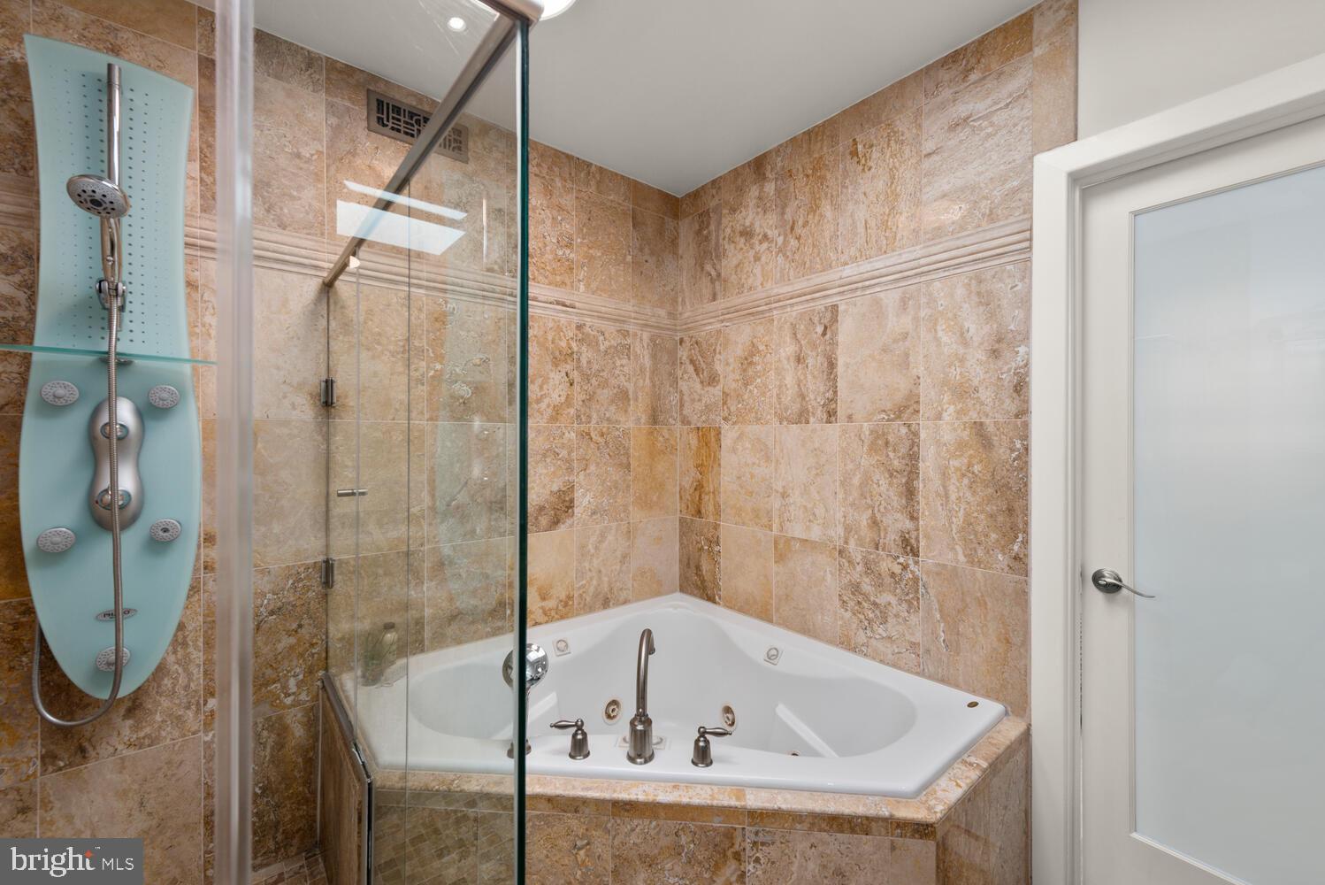 1745 Willard Street Northwest Washington, DC 20009 - Photo 32 of 86 Jacuzzi tub and rain shower