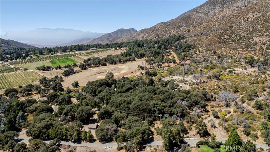 39922 Pine Bench Road Oak Glen, CA 92399 - Photo 29 of 34 Gallery Image 29