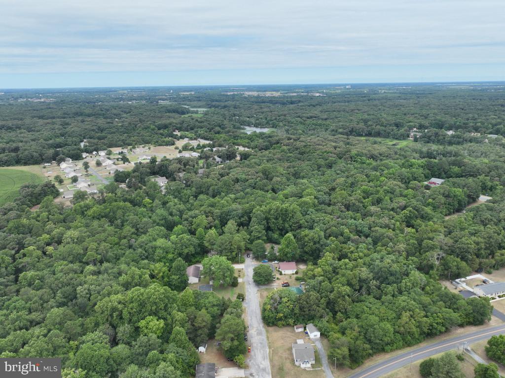 an aerial view of residential houses with outdoor space and trees