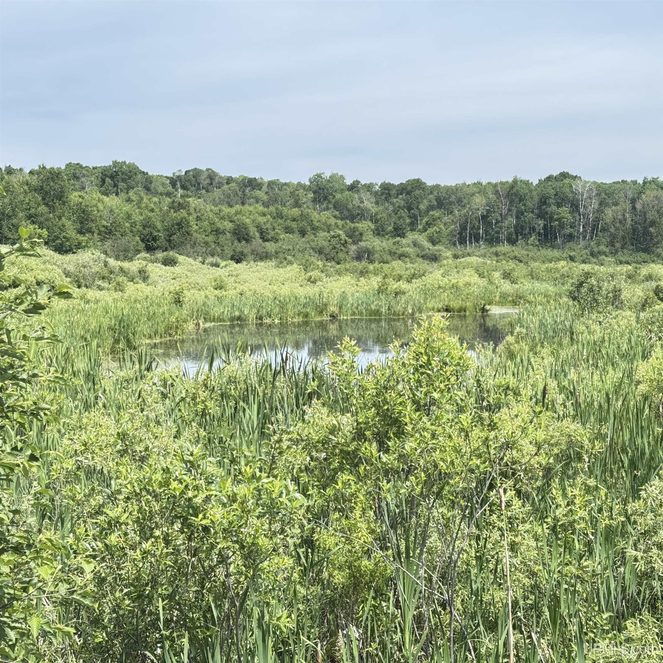 1669 Kofmehl Road Iron River, MI 49935 - Photo 47 of 49